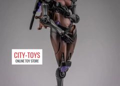CDL-03 Cat Arcee Catwoman