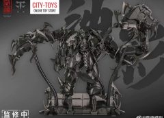 TM CangDao CD05 Shadow