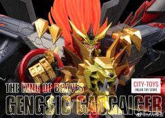 MW Model KO Gaogaigar Model Kit