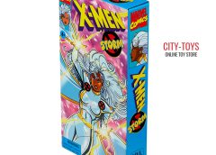 Marvel Legends X-Men Storm 90s Animated Series