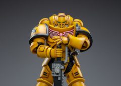 JoyToy WarHammer Imperial Fist Intercessors