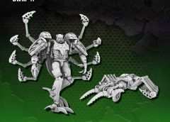 TransArt TA BWM11 BWM-11 Lycosa copy